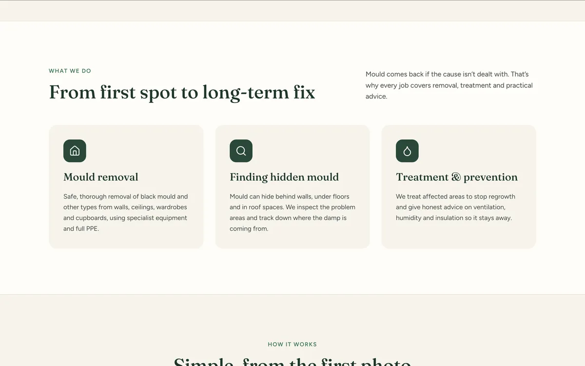 Dr Mould treatments section on desktop